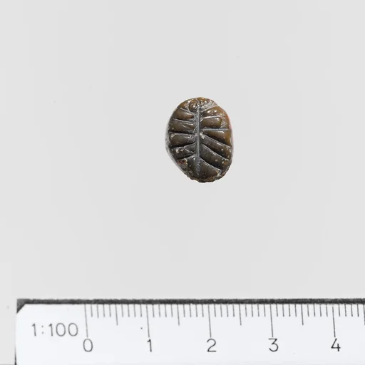 Seal stamp