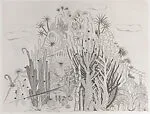 Monte Carlo, la Promenade au Jardin exotique — Jacqueline Copper-Royer