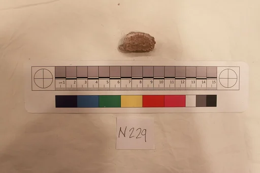 Stucco Fragment