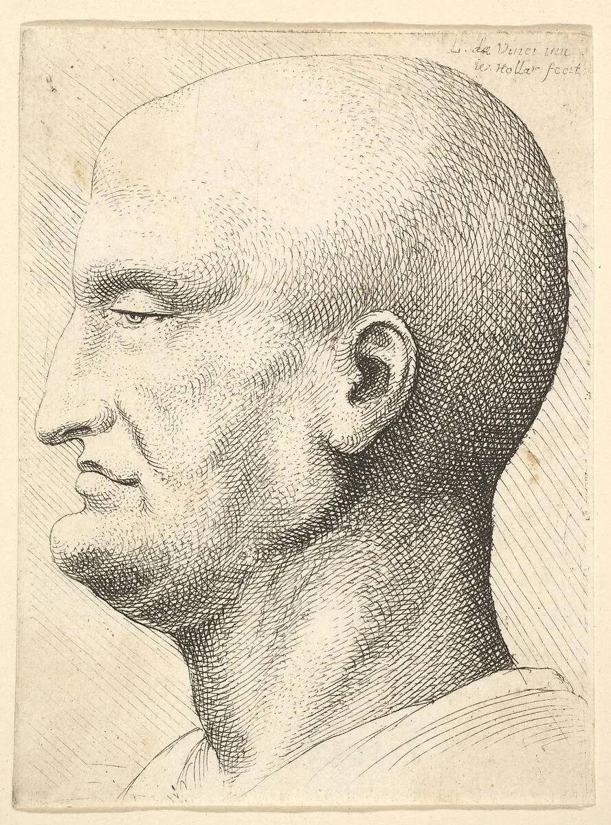 Head of a bald man in profile to left — Leonardo da Vinci|Wenceslaus Hollar