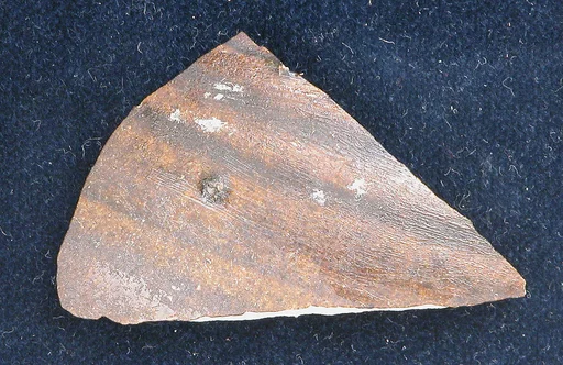 Fragment