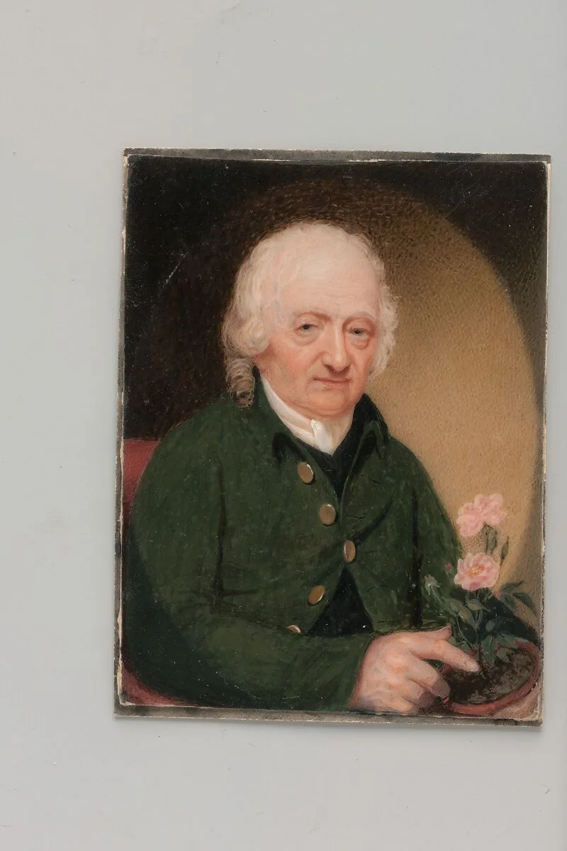 Portrait of a Gentleman — Unknown