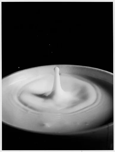 [Milk Drop Falling Into Reservoir of Milk (5/9)]