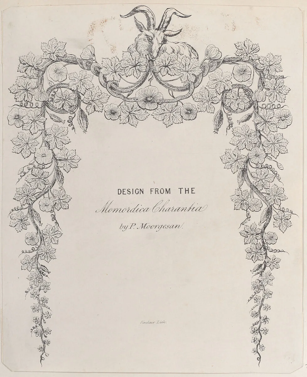 Design from the Momordica Charantia by P. Moorgesan — Anonymous, British, 19th century