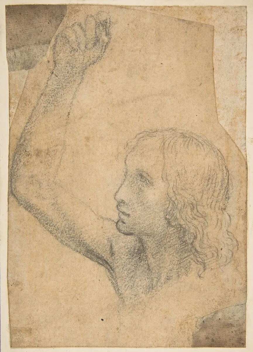 Youth with Right Arm Raised in a Shoulder-Length Portrayal (preparatory study for St. Sebastian) — Timoteo Viti