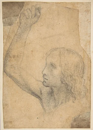 Youth with Right Arm Raised in a Shoulder-Length Portrayal (preparatory study for St. Sebastian)