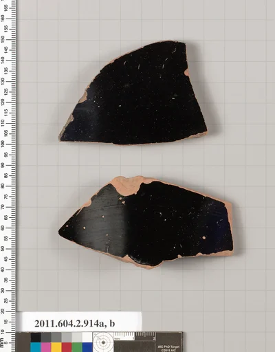 Terracotta fragments of bell-kraters (bowls for mixing wine and water)?