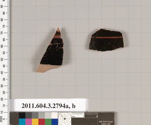 Terracotta fragments of oinochoai (jugs) or olpai (jugs)