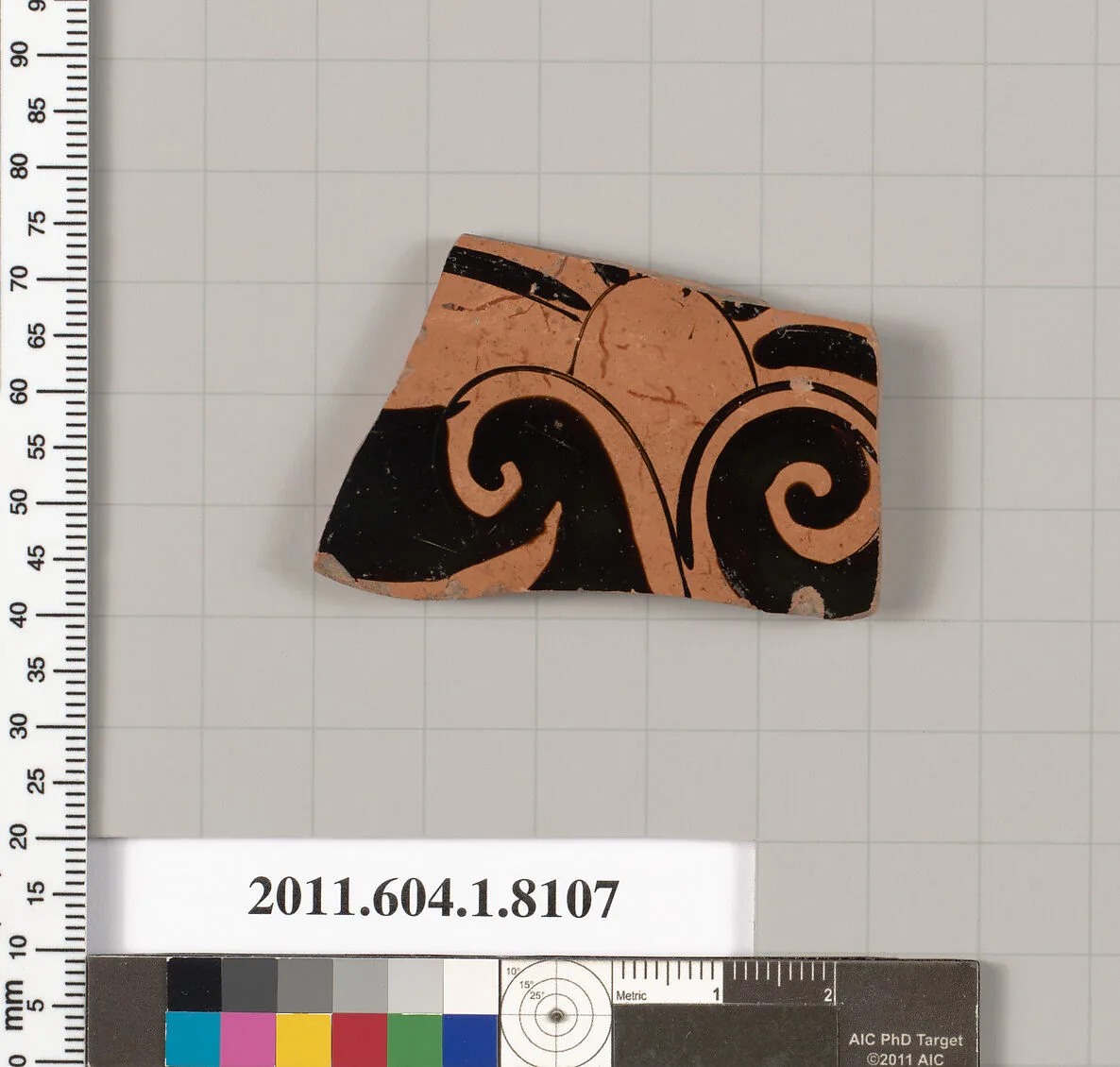 Terracotta fragment of a kylix (drinking cup) — Unknown