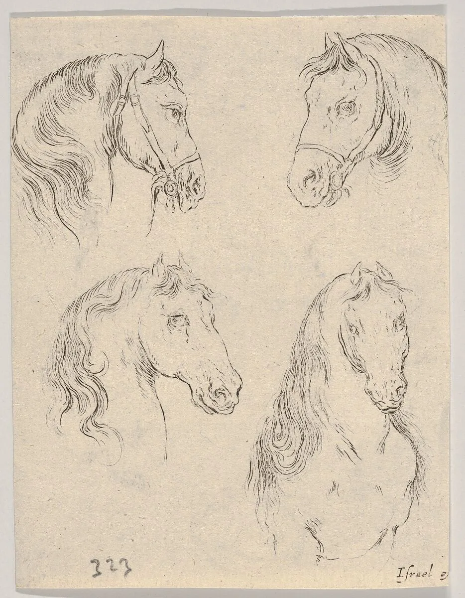 Plate 16: four studies of horse heads, from 'Various heads and figures' (Diverses têtes et figures) — Stefano della Bella|Israël Henriet