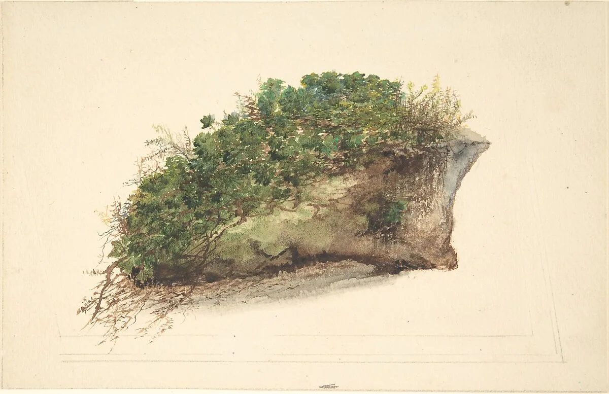 Study of a Piece of Turf — Anonymous, British, early 19th century