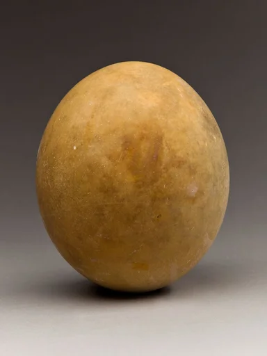 Ostrich Egg