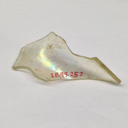 Fragment
