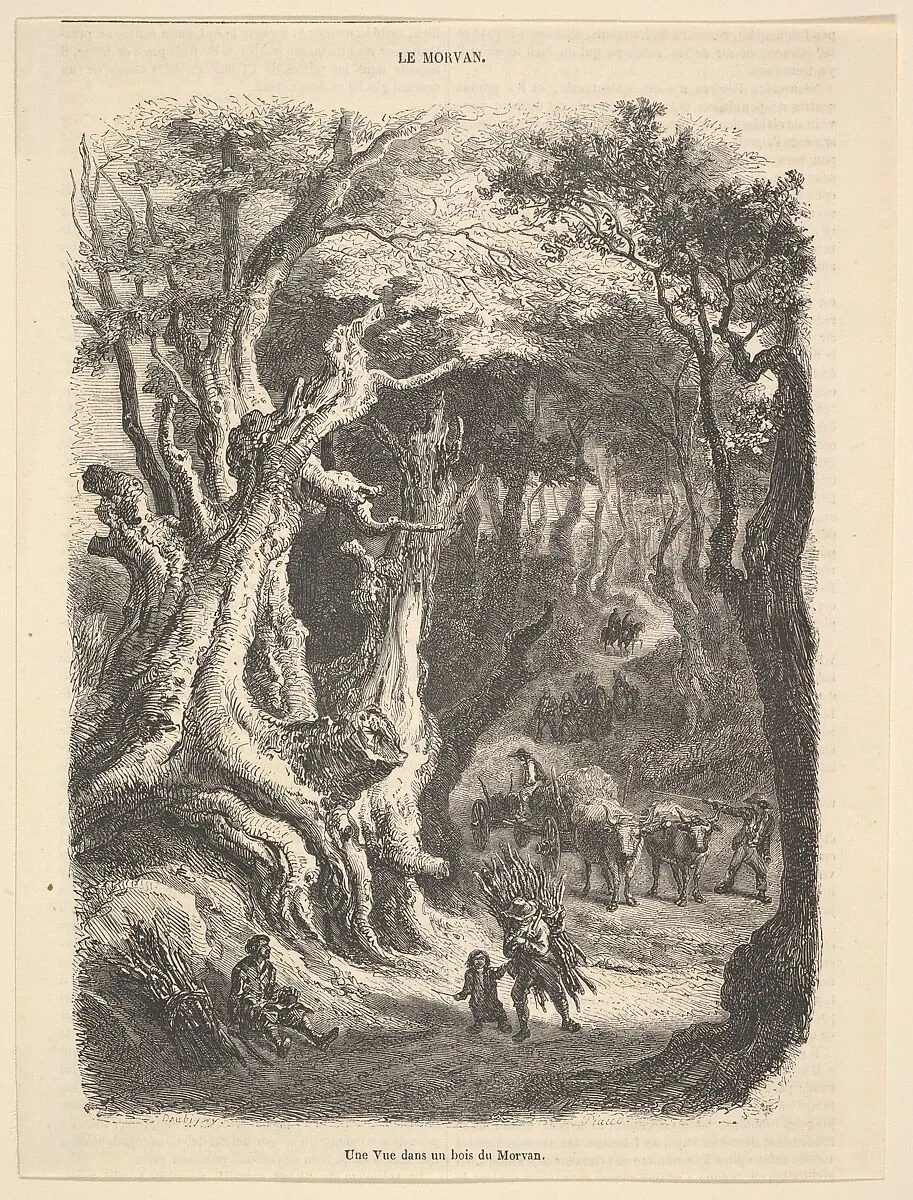 A View in the Forest of Morvan — Antoine-Alphée Piaud|Charles-François Daubigny
