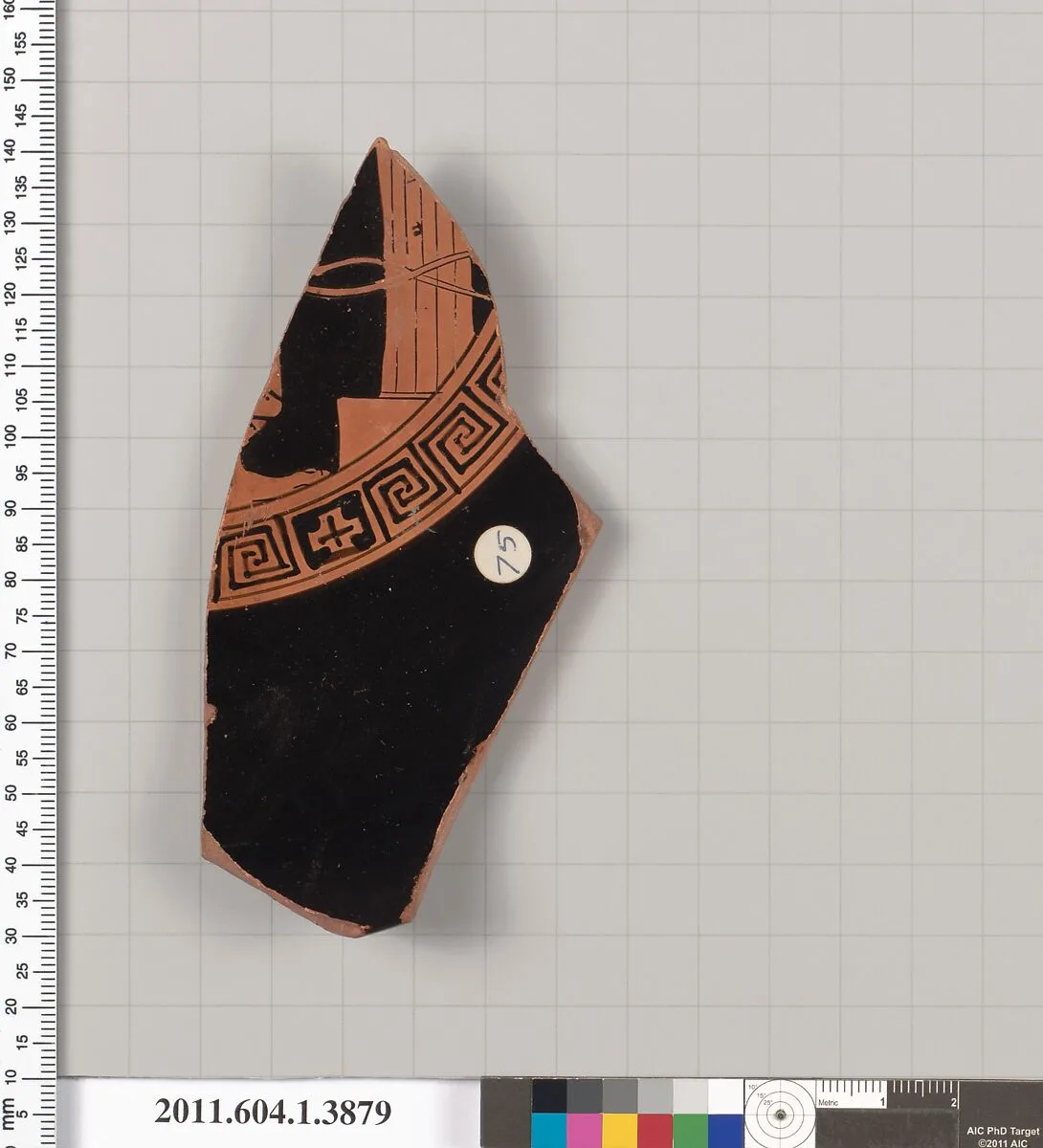 Terracotta fragment of a kylix (drinking cup) — Unknown