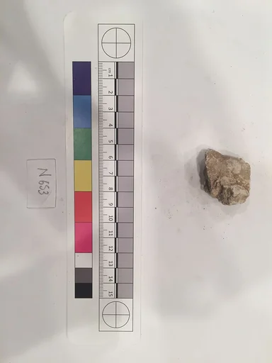 Stucco Fragment