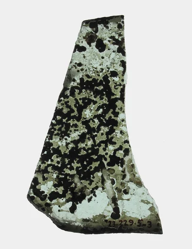 Glass Fragment
