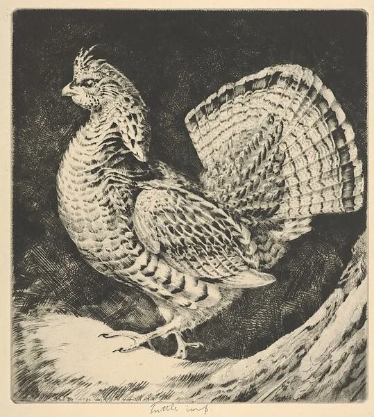 Strutting Cock — Henry Emerson Tuttle