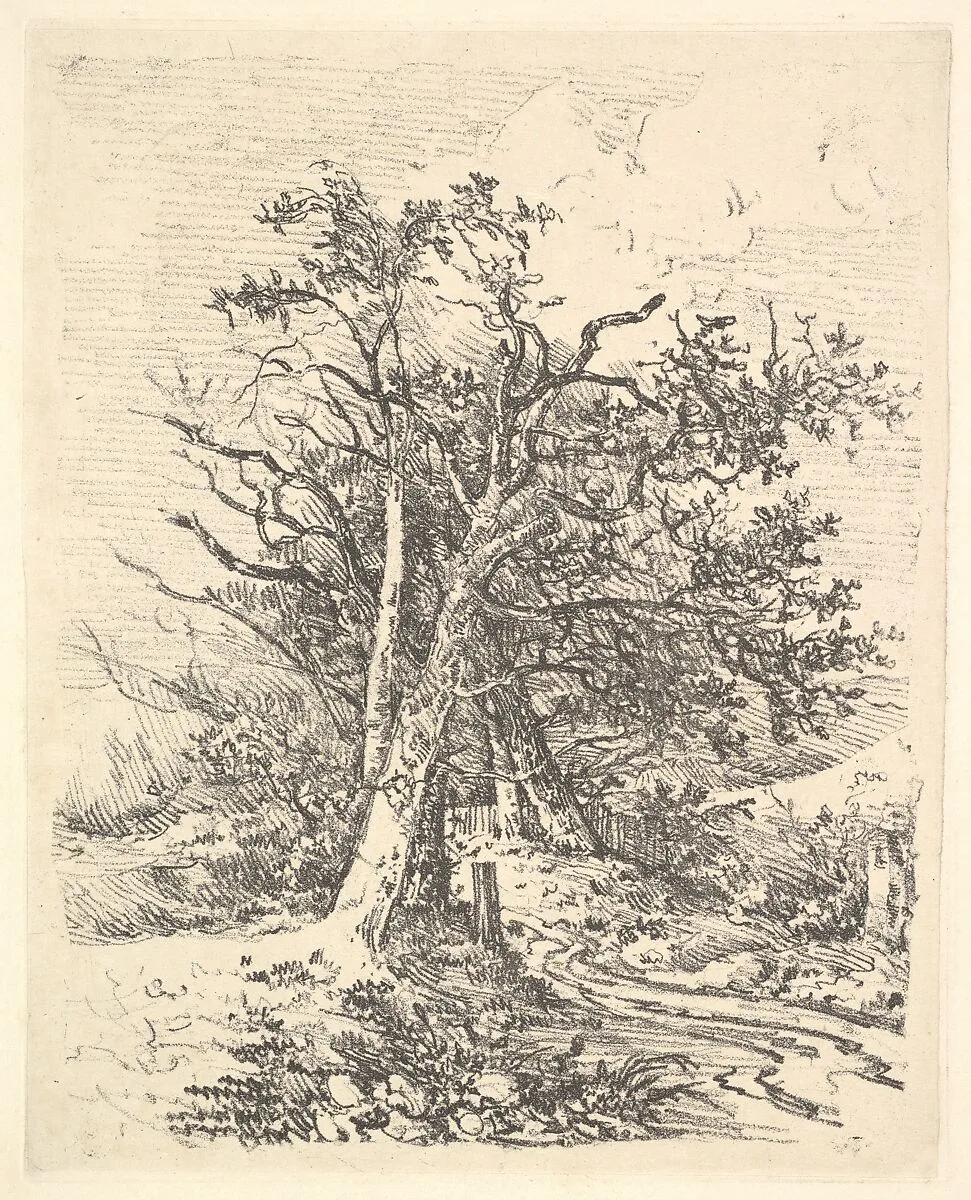 Tree Trunks and Lane — John Crome
