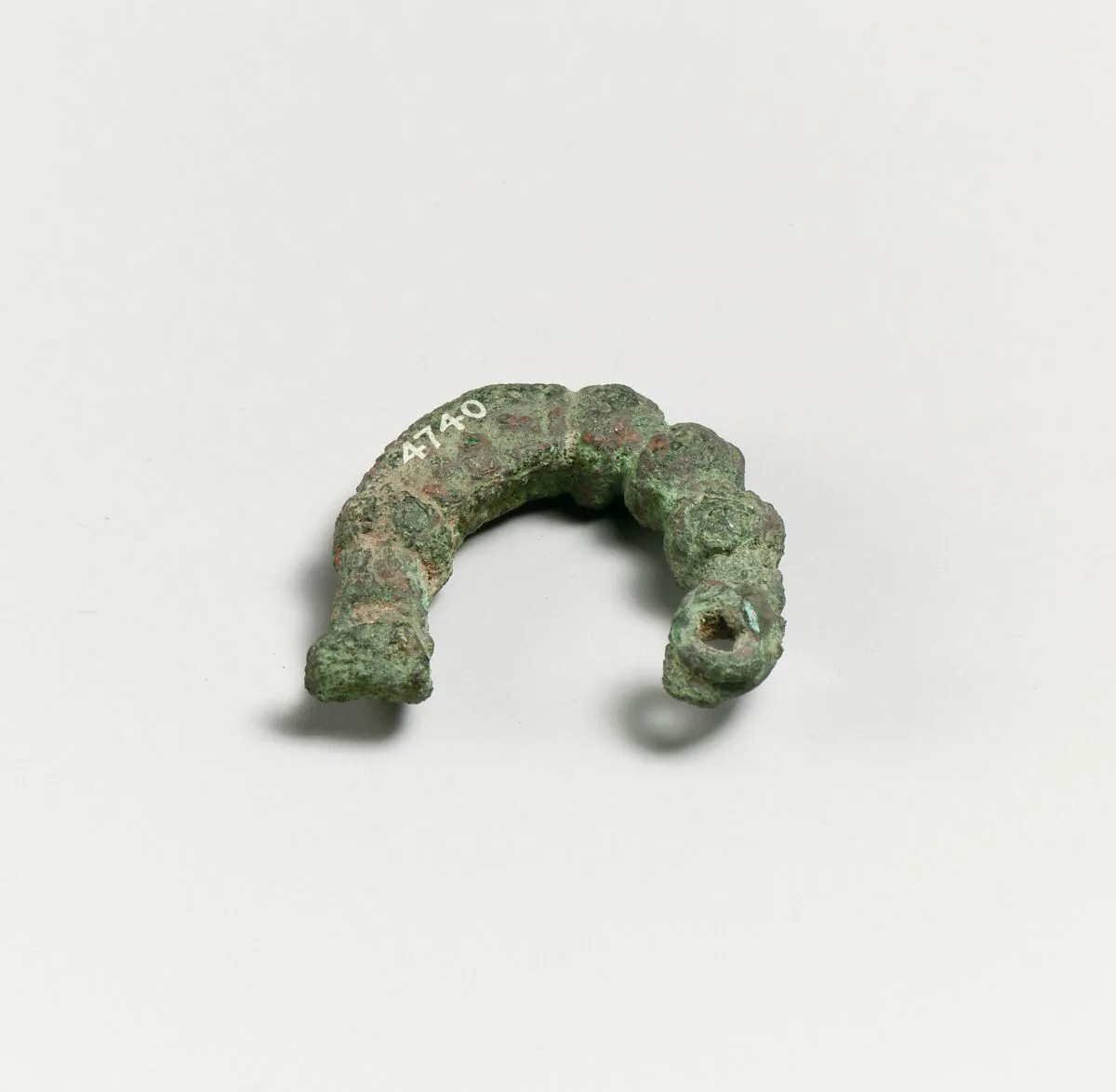 Fibula, fragment — Unknown