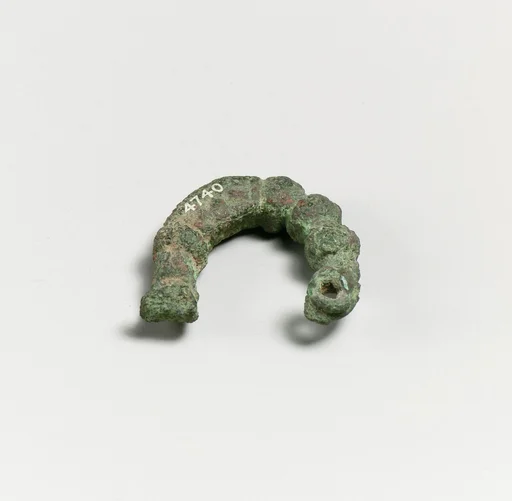 Fibula, fragment