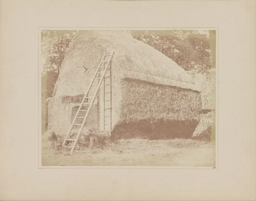 The Haystack