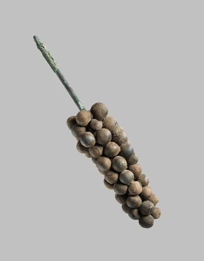Bunch of grapes
