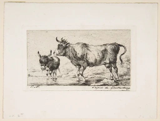 Cow and Ass