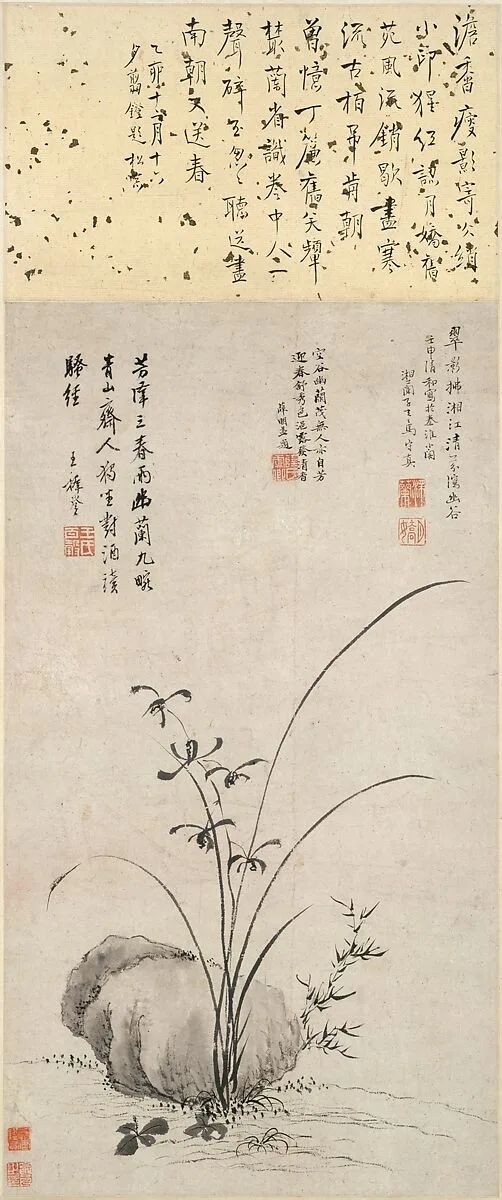 明 傳馬守真 蘭石圖 軸|Orchid and Rock — Ma Shouzhen