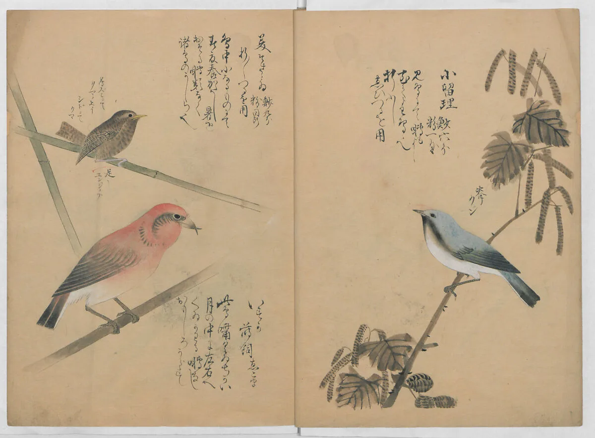 Kotori Ruishō|A Compendium of Small Birds — Nantō