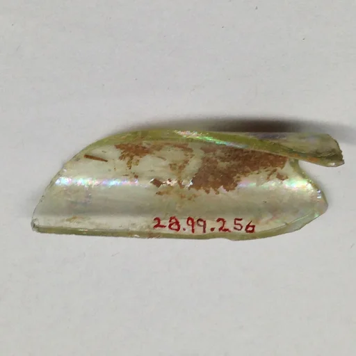 Fragment