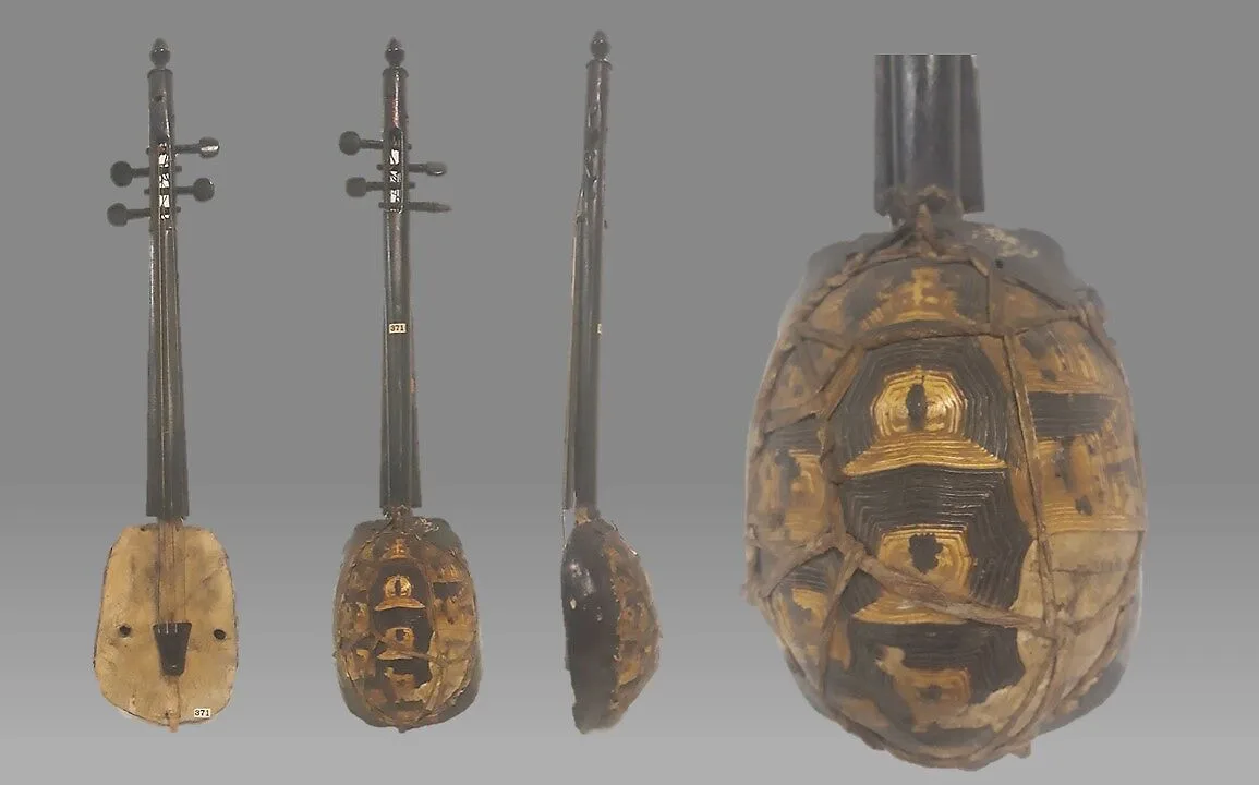 Stringed Instrument — Unknown