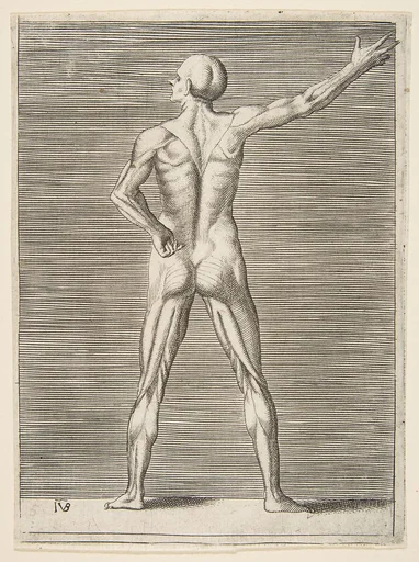 Flayed man seen from the back, his right arm extended