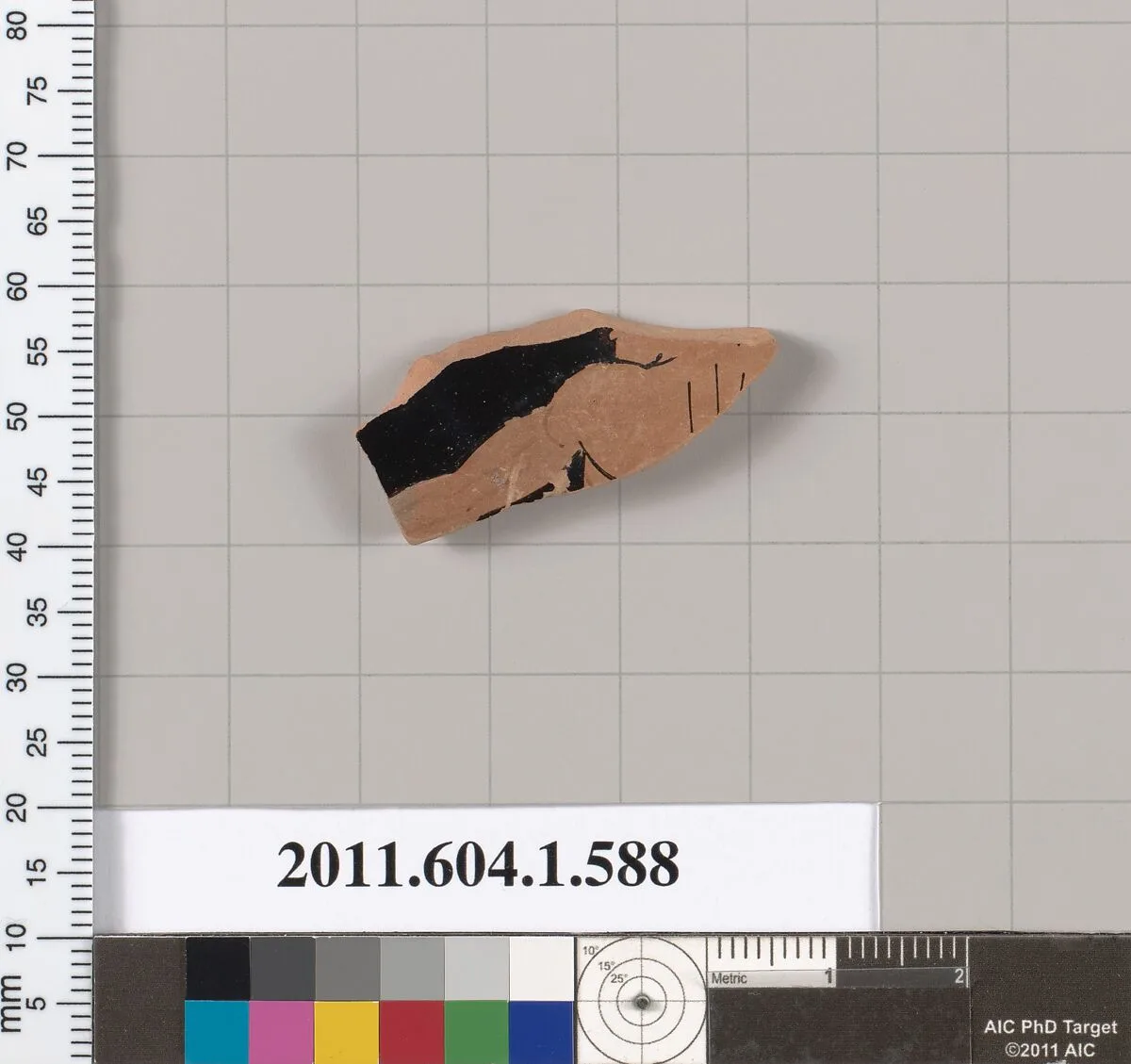 Terracotta fragment of a kylix (drinking cup) — Unknown