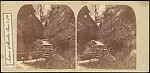 [Group of 3 Stereograph Views of Shanklin Chine, Isle of Wight, England]
