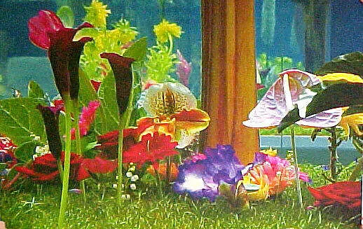 Garden 2 — Marc Quinn|The Paragon Press