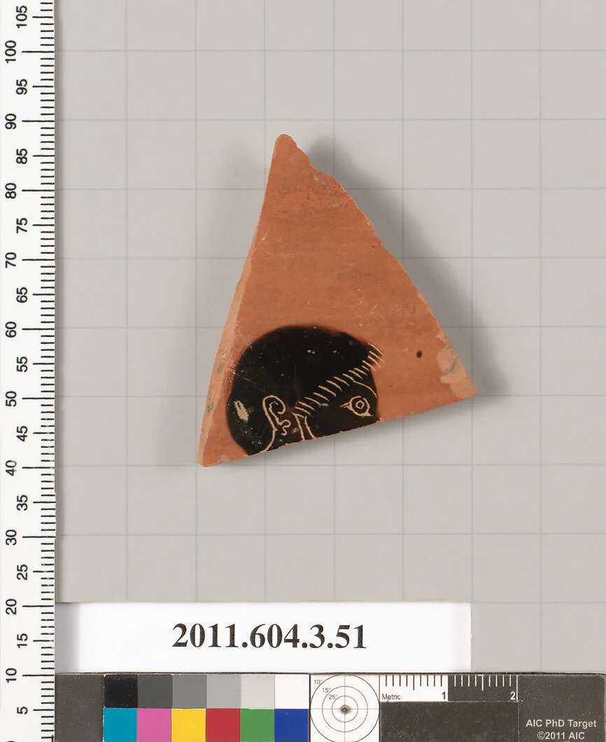 Terracotta fragment of an amphora (jar) — Unknown