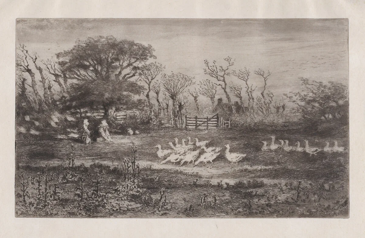 Geese — Félix-Hilaire Buhot
