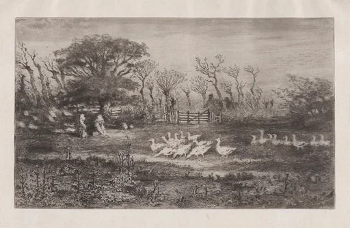 Geese