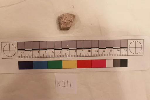 Stucco Fragment