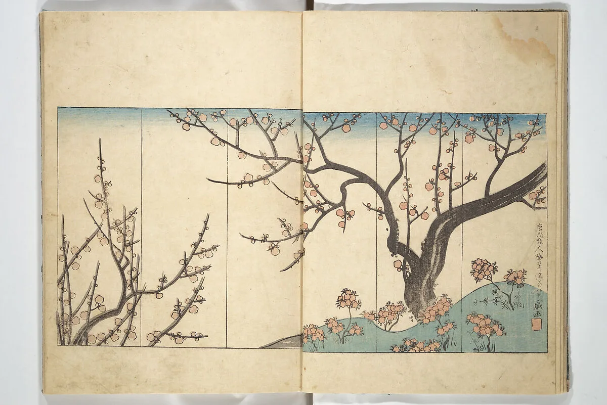 乾山遺墨|Traces of Kenzan's Brush (Kenzan iboku 乾山遺墨) — Unknown