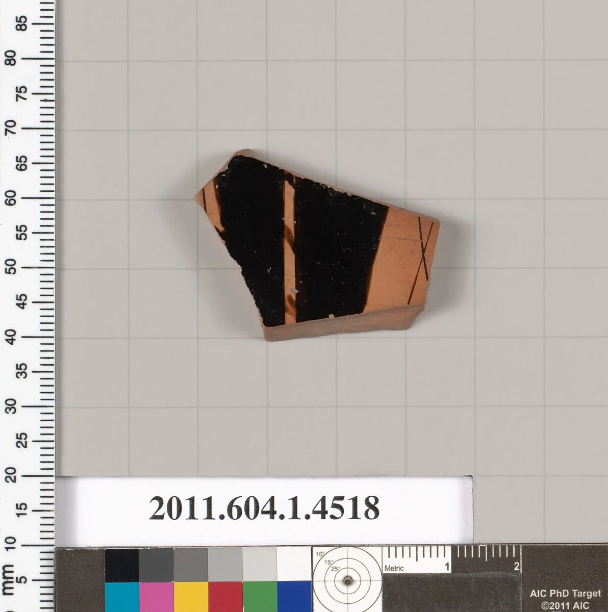 Terracotta fragment of a kylix (drinking cup) — Unknown