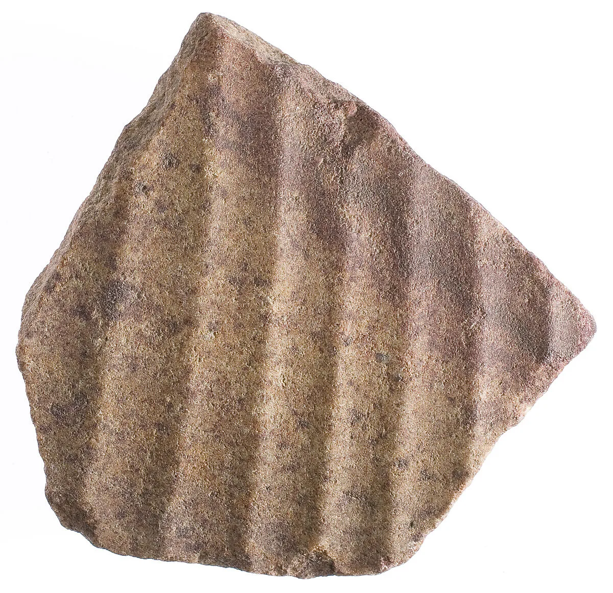 body fragment with garment pleats — Unknown
