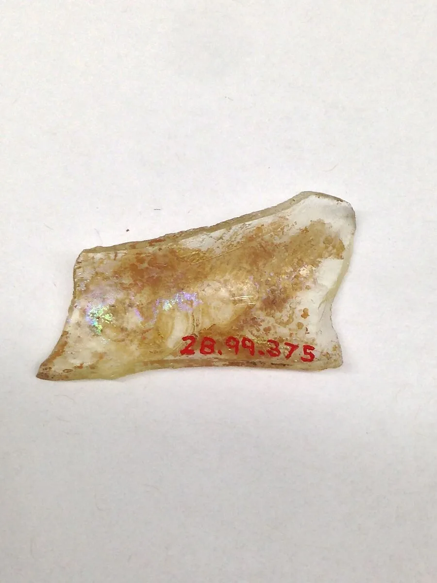 Fragment — Unknown