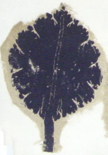 Textile Fragment