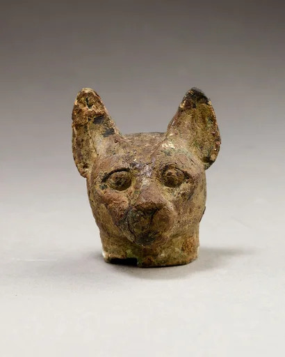 Cat head