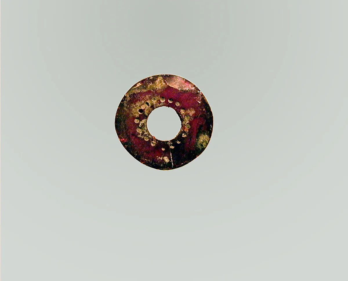 Fibula, fragment — Unknown