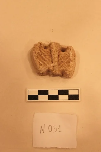 Stucco Fragment