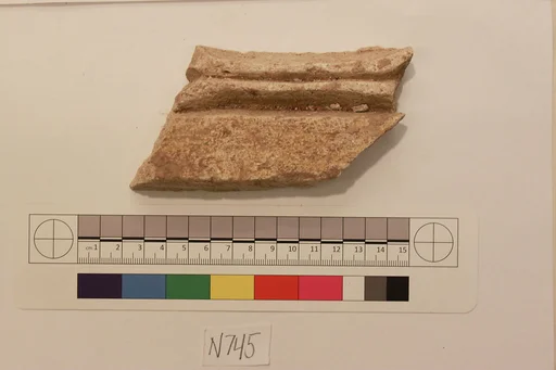 Stucco Fragment