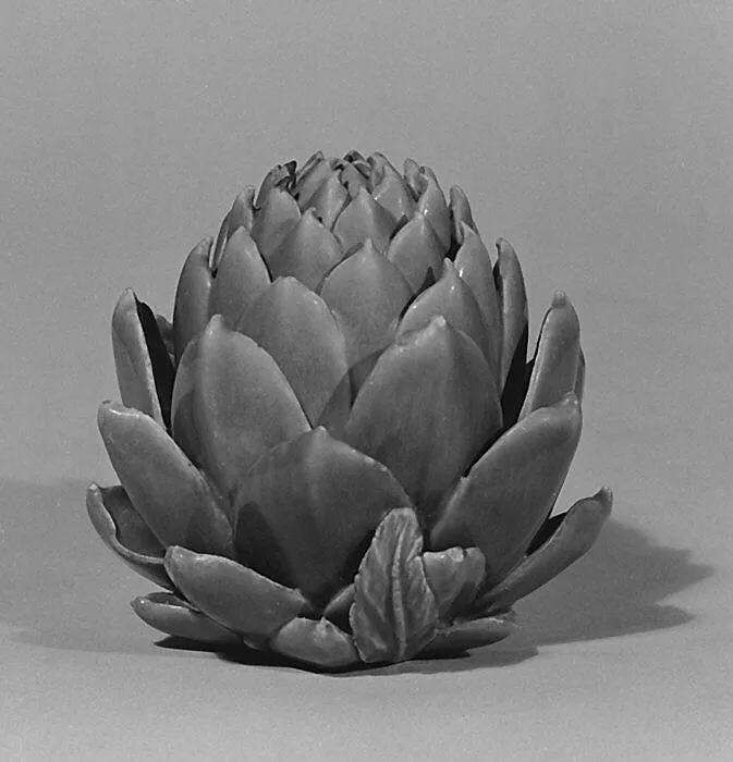 Artichoke forming a box — Unknown